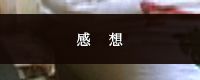 作品情報